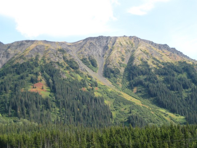 Near upper Skeena River, north-west BC, Sept, 2012
