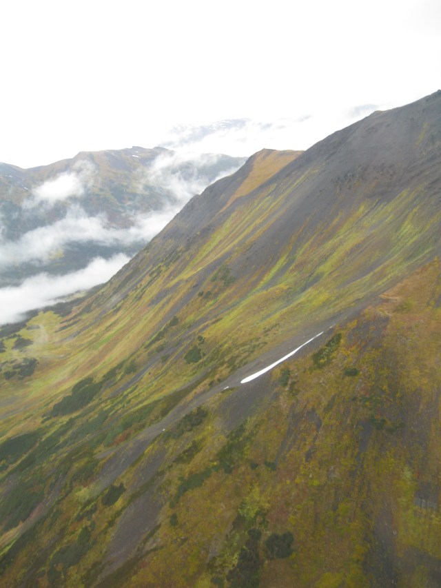 Near Bob Quinn Lake, NW BC
